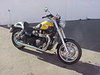 Thunderbike Shorty Performance Mufflers are approx 100mm (4) shorter than the long items.